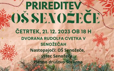 VABLJENI NA ŠOLSKO NOVOLETNO PRIREDITEV