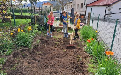Eko dan – učenci navdušeno urejali šolski vrt