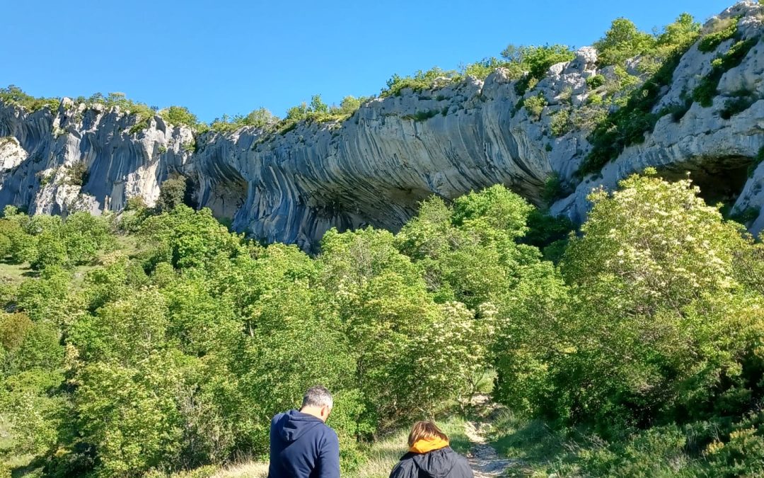 Ušesa Istre: Nepozabno doživetje v naravi